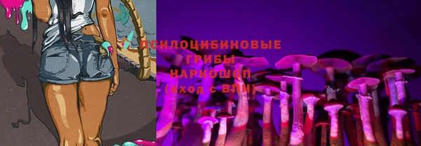 гашик Бородино