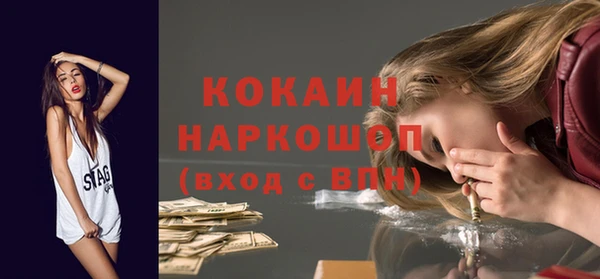 гашик Бородино